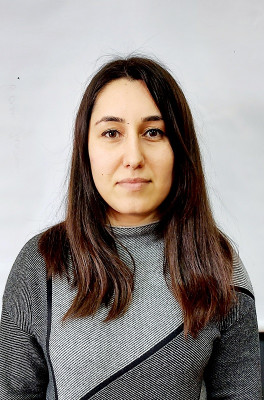 Адиширинова Луиза Абдулманафовна Адиширинова Луиза Абдулманафовна